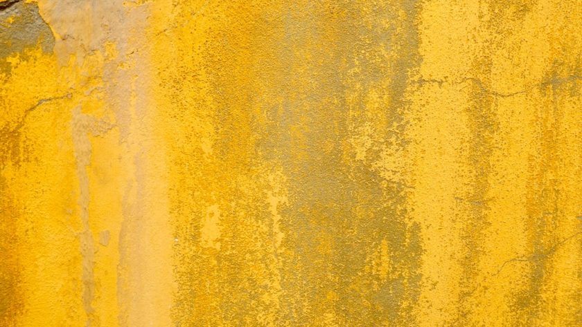 Photo mustard color combinations