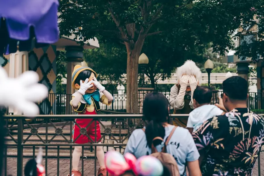 Theme park outfit