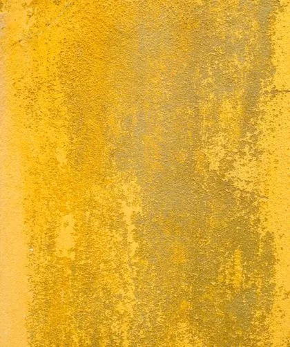 Photo mustard color combinations